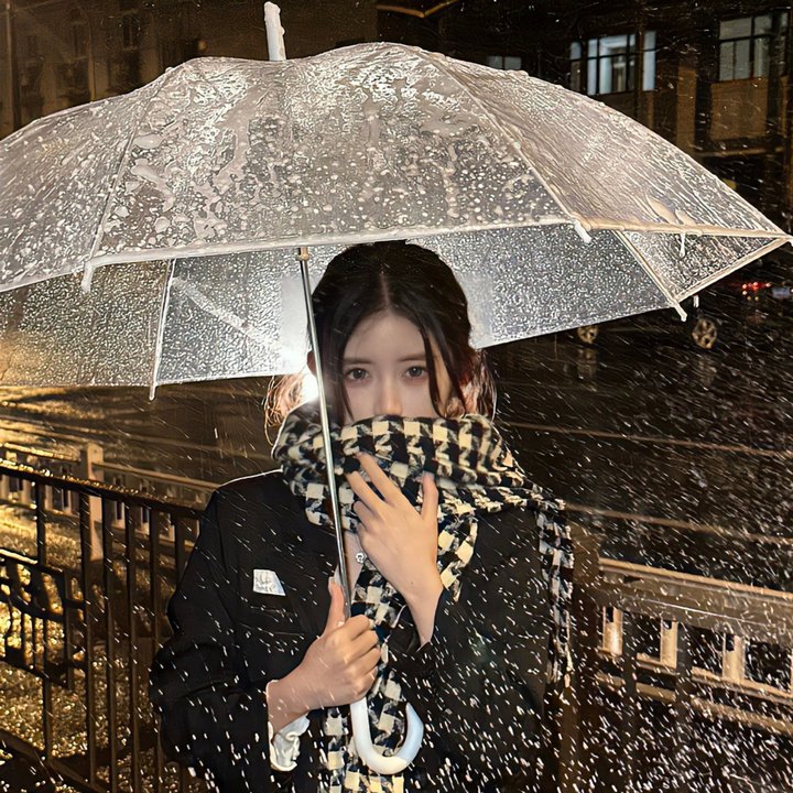 征服者海报
