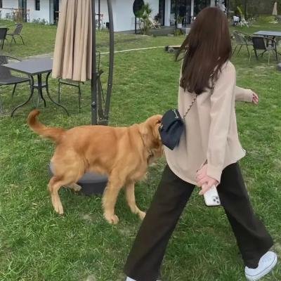 热门电视剧